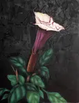 Angels Trumpet pattern packet is perfect if you love to paint florals with acrylic paints. Suitable for Intermediate level painters.
