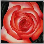 A Rose is a Rose is a Rose is a perfect packet for anyone who has always wanted to paint one of these beautiful flowers.