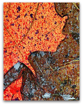 This is a detail image of what the painting looks like.