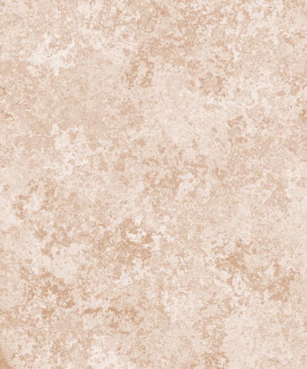 Household Sponge Effect