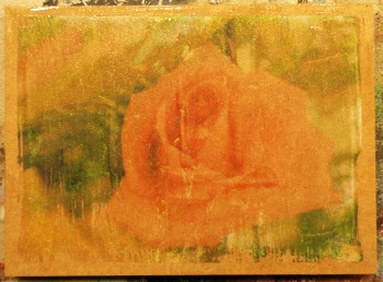 Apply a coat of gloss varnish to protect the image transfer.  The image is much clearer now! Apply a coat of gloss varnish to protect the image transfer.  The image is much clearer now!