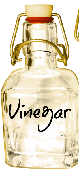 Vinegar Bottle