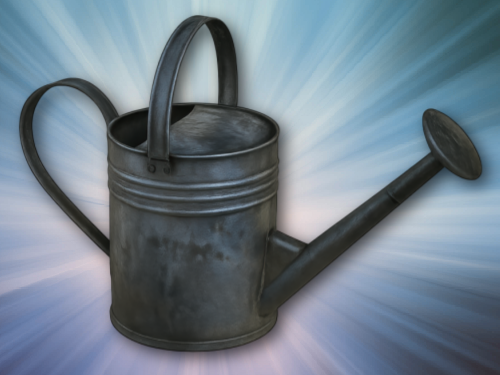 Watering CAn Galvanized Metal