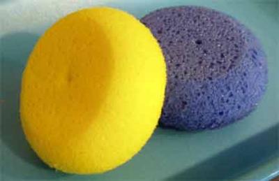 Hydra Sponges