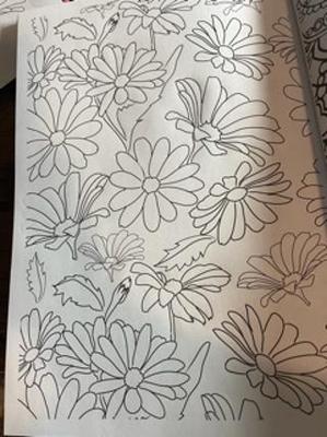Coloring Page