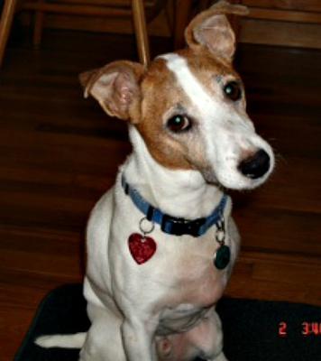 Jake, rest in peace sweet boy.