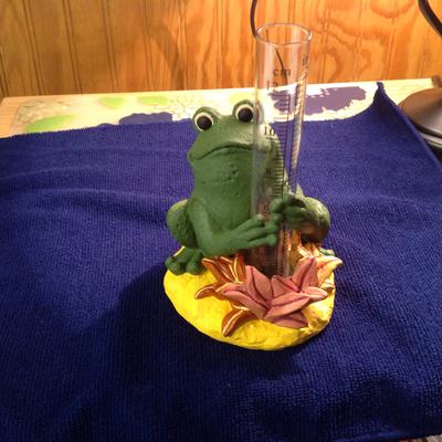 Daughters frog rain gage